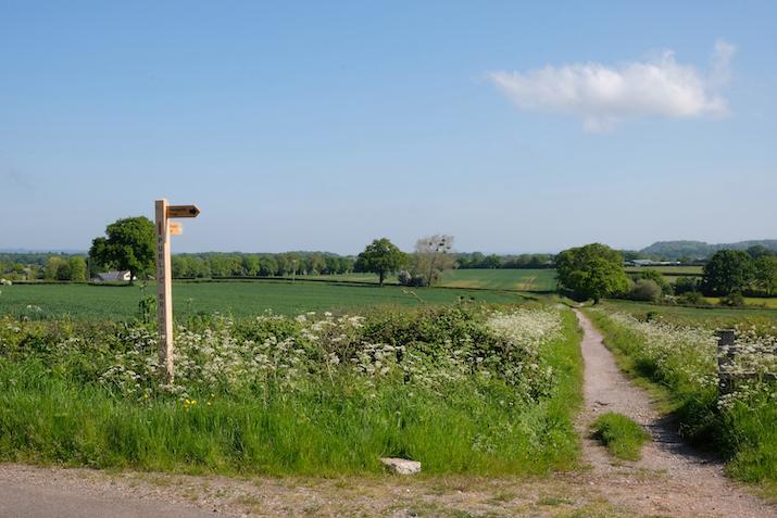 Footpath and Bridleway